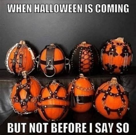 kinky halloween memes|18 Funny Halloween Memes